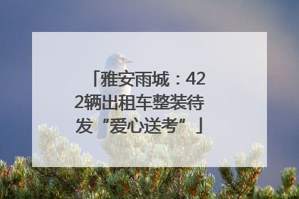 雅安雨城：422辆出租车整装待发“爱心送考”