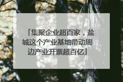 集聚企业超百家，盐城这个产业基地带动周边产业开票超百亿