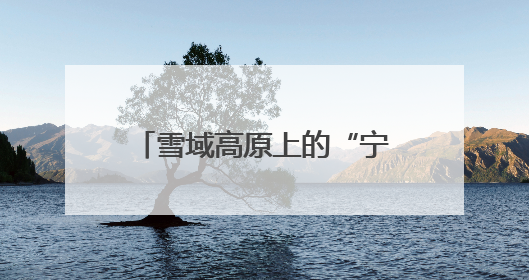 雪域高原上的“宁波门巴”：海拔4500米的生命守护