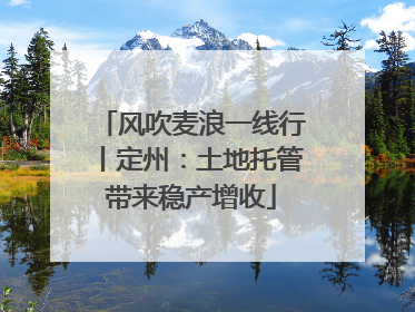 风吹麦浪一线行丨定州：土地托管带来稳产增收
