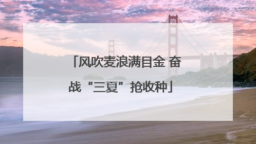 风吹麦浪满目金 奋战“三夏”抢收种