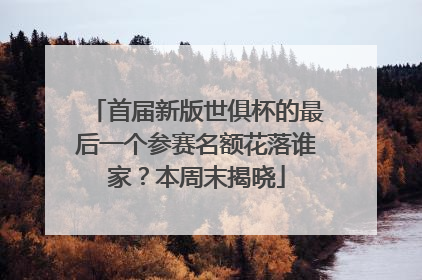 首届新版世俱杯的最后一个参赛名额花落谁家？本周末揭晓
