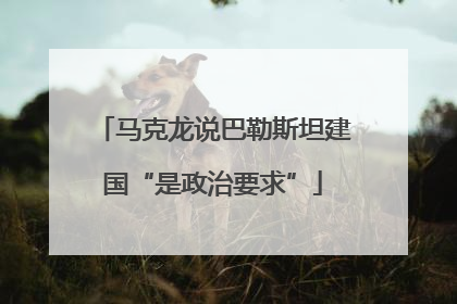 马克龙说巴勒斯坦建国“是政治要求”