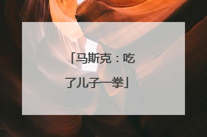 马斯克：吃了儿子一拳