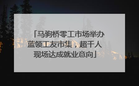 马驹桥零工市场举办蓝领工友市集，超千人现场达成就业意向