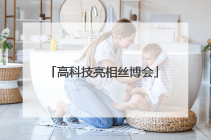 高科技亮相丝博会