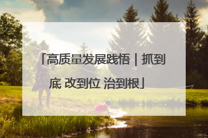 高质量发展践悟｜抓到底 改到位 治到根