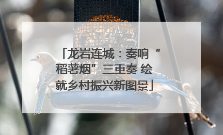 龙岩连城：奏响“稻薯烟”三重奏 绘就乡村振兴新图景