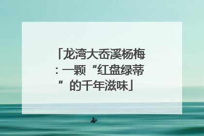 龙湾大岙溪杨梅：一颗“红盘绿蒂”的千年滋味