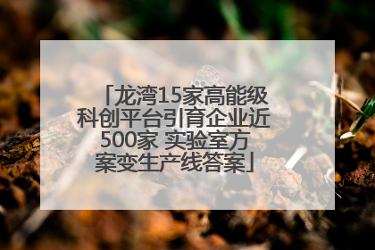 龙湾15家高能级科创平台引育企业近500家 实验室方案变生产线答案