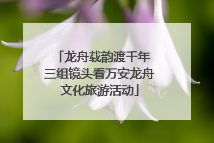 龙舟载韵渡千年 三组镜头看万安龙舟文化旅游活动