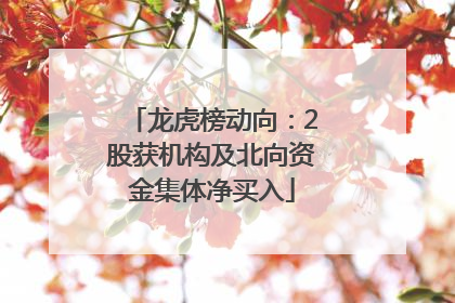 龙虎榜动向：2股获机构及北向资金集体净买入