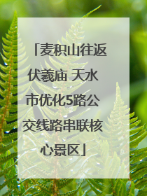 麦积山往返伏羲庙 天水市优化5路公交线路串联核心景区