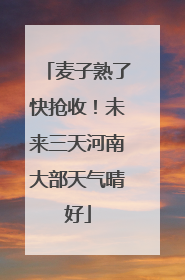麦子熟了快抢收！未来三天河南大部天气晴好