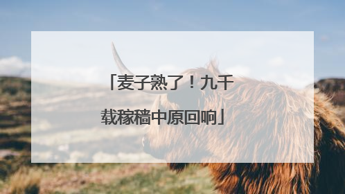 麦子熟了！九千载稼穑中原回响