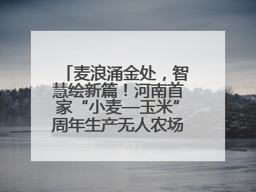 麦浪涌金处，智慧绘新篇！河南首家“小麦—玉米”周年生产无人农场喜迎丰收