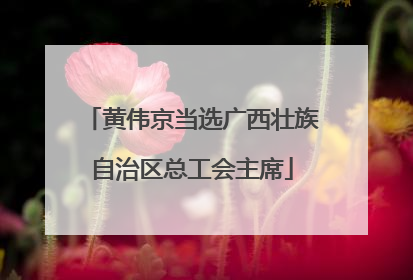 黄伟京当选广西壮族自治区总工会主席