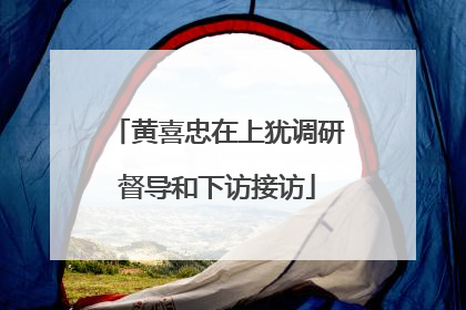 黄喜忠在上犹调研督导和下访接访