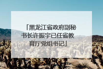 黑龙江省政府副秘书长许振宇已任省教育厅党组书记