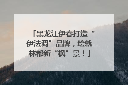 黑龙江伊春打造“伊法调”品牌，绘就林都新“枫”景！