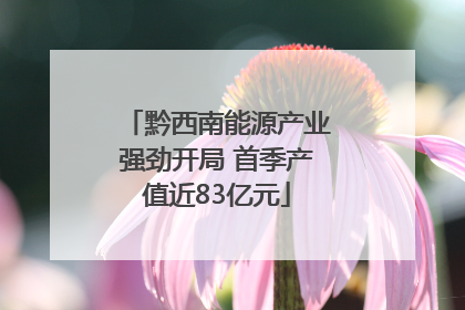 黔西南能源产业强劲开局 首季产值近83亿元
