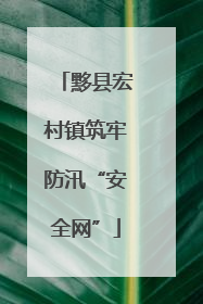 黟县宏村镇筑牢防汛“安全网”