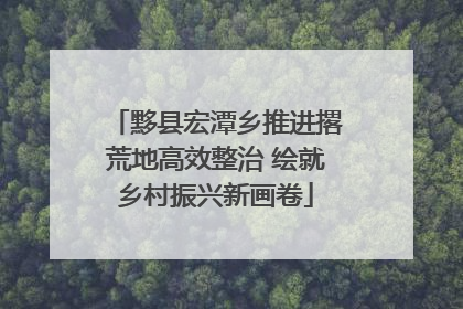 黟县宏潭乡推进撂荒地高效整治 绘就乡村振兴新画卷
