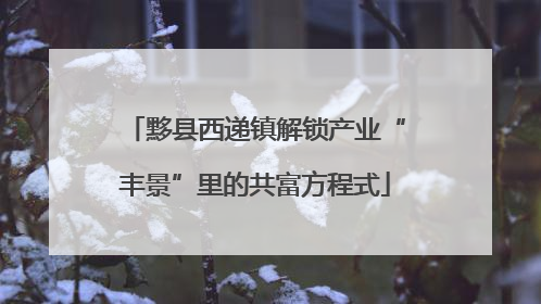 黟县西递镇解锁产业“丰景”里的共富方程式