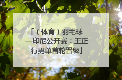 （体育）羽毛球——印尼公开赛：王正行男单首轮晋级