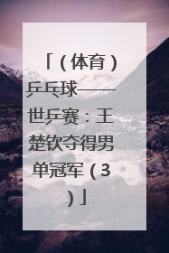 （体育）乒乓球——世乒赛：王楚钦夺得男单冠军（3）
