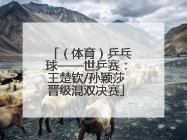 （体育）乒乓球——世乒赛：王楚钦/孙颖莎晋级混双决赛