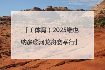 （体育）2025维也纳多瑙河龙舟赛举行
