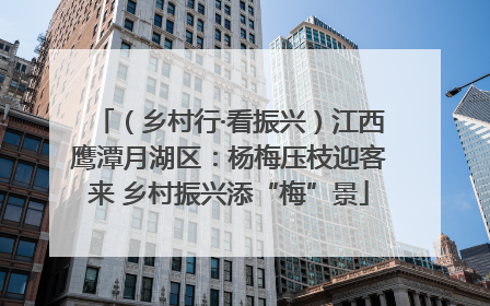 （乡村行·看振兴）江西鹰潭月湖区：杨梅压枝迎客来 乡村振兴添“梅”景