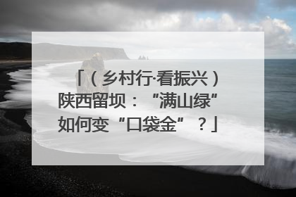 （乡村行·看振兴）陕西留坝：“满山绿”如何变“口袋金”？