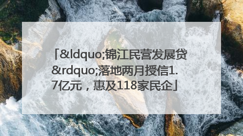 “锦江民营发展贷”落地两月授信1.7亿元，惠及118家民企