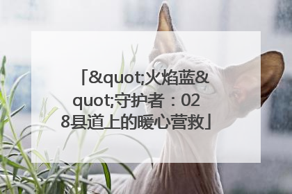 "火焰蓝"守护者：028县道上的暖心营救