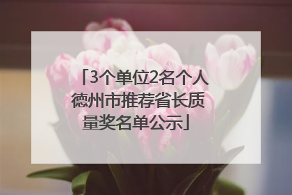 3个单位2名个人 德州市推荐省长质量奖名单公示