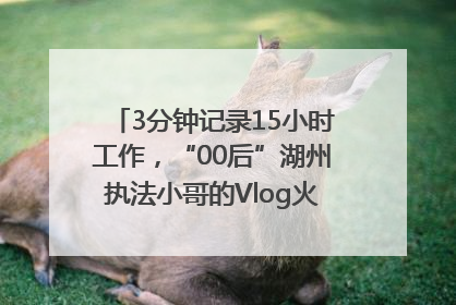 3分钟记录15小时工作，“00后”湖州执法小哥的Vlog火了，还被网友点赞
