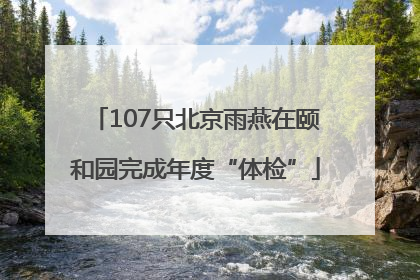 107只北京雨燕在颐和园完成年度“体检”