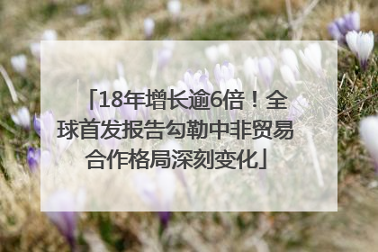 18年增长逾6倍！全球首发报告勾勒中非贸易合作格局深刻变化