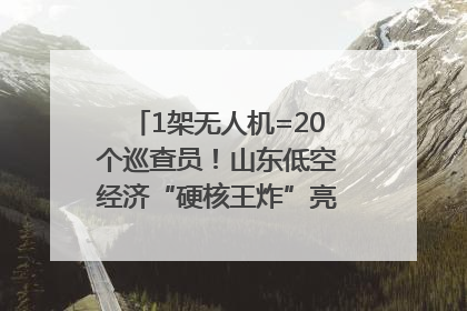 1架无人机=20个巡查员！山东低空经济“硬核王炸”亮相青岛，下一个万亿赛道藏在这里
