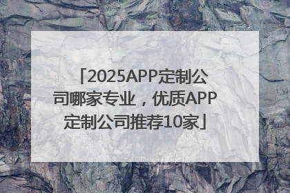 2025APP定制公司哪家专业，优质APP定制公司推荐10家