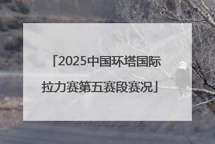 2025中国环塔国际拉力赛第五赛段赛况