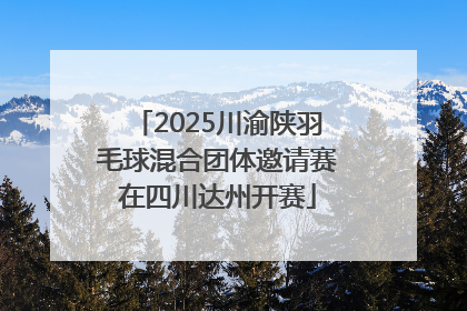 2025川渝陕羽毛球混合团体邀请赛在四川达州开赛