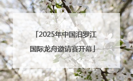 2025年中国汨罗江国际龙舟邀请赛开幕