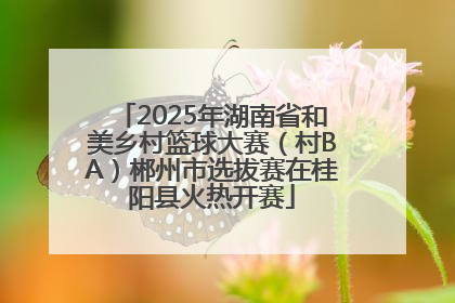 2025年湖南省和美乡村篮球大赛（村BA）郴州市选拔赛在桂阳县火热开赛