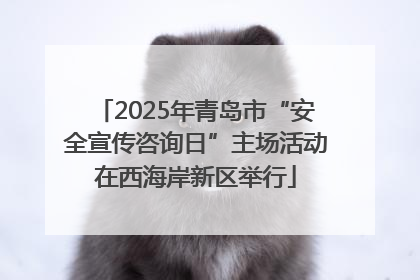 2025年青岛市“安全宣传咨询日”主场活动在西海岸新区举行