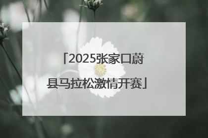 2025张家口蔚县马拉松激情开赛