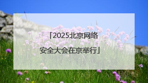 2025北京网络安全大会在京举行