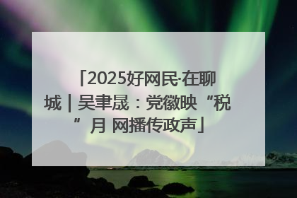 2025好网民·在聊城｜吴聿晟：党徽映“税”月 网播传政声